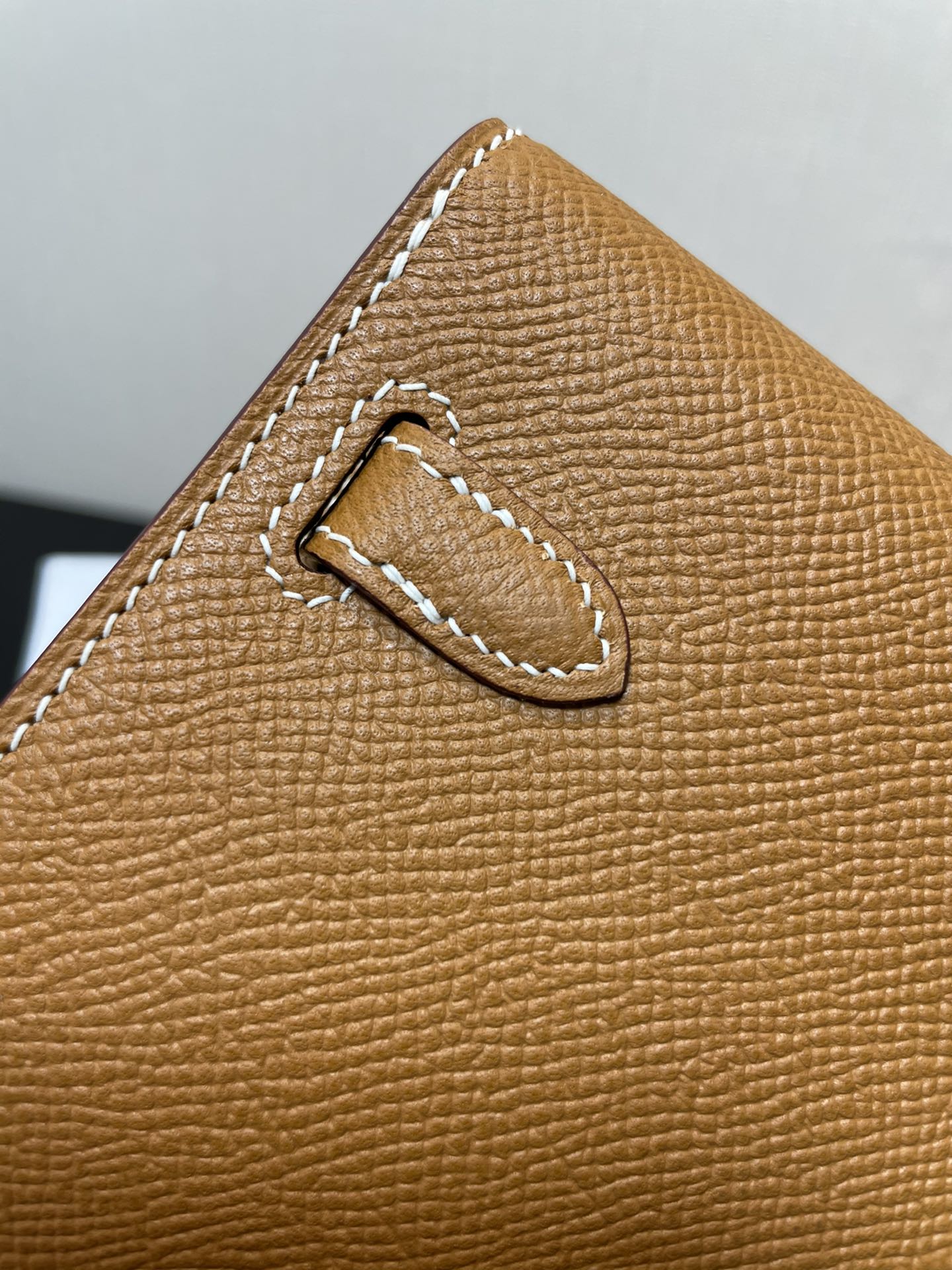 Richelieu Wallet 19 In Classic Red Goyardine Canvas