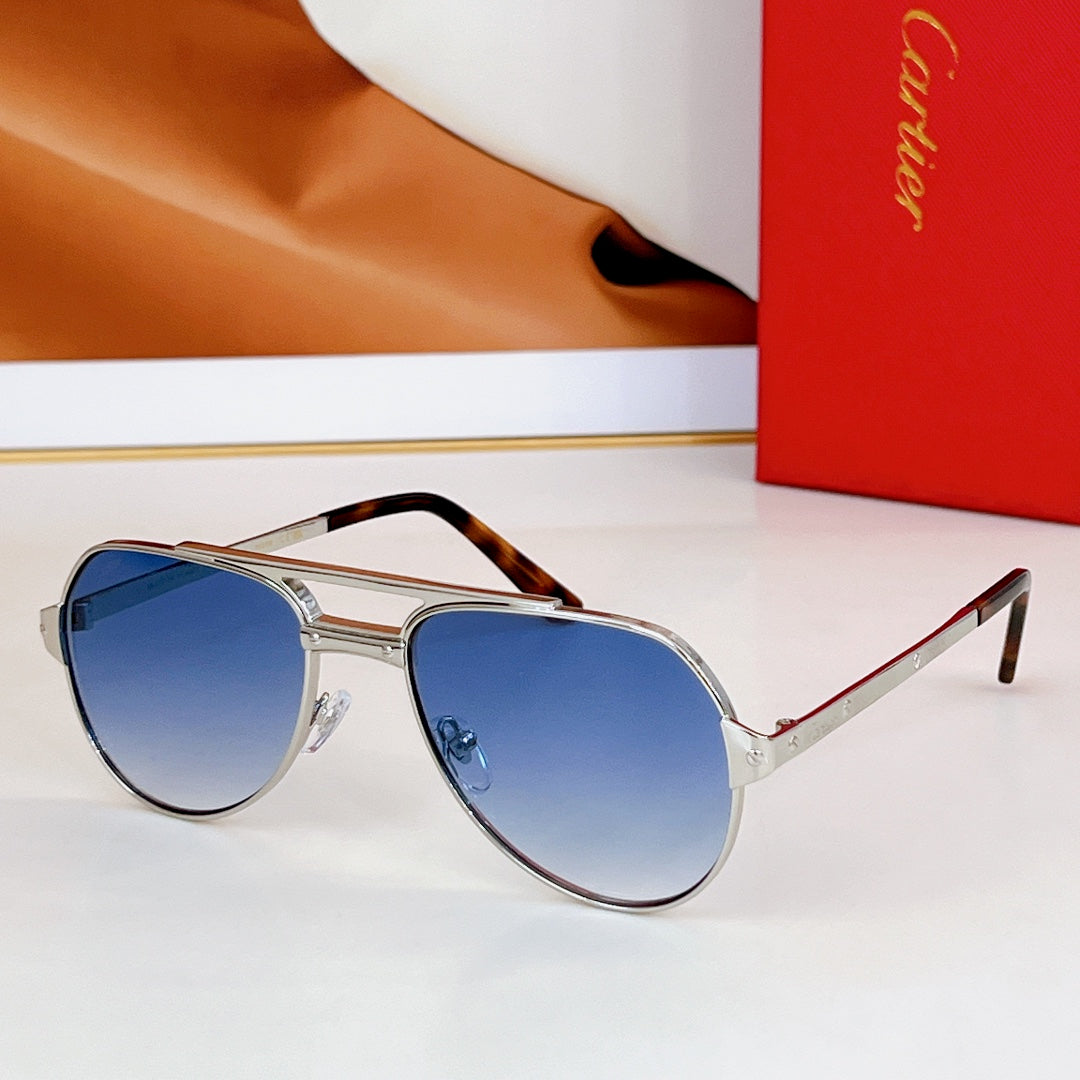 Santos Aviator Frame Sunglasses Ct0639S In Metal