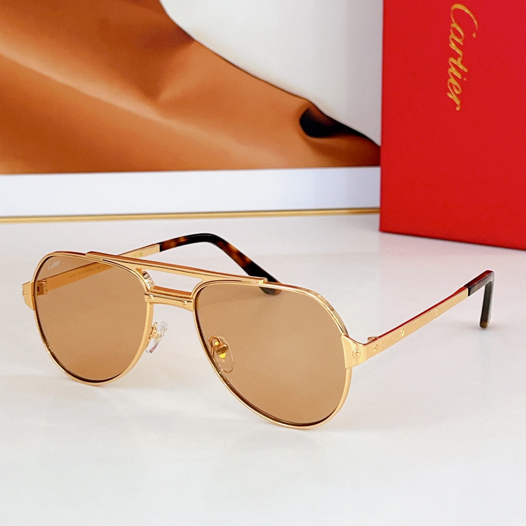 Santos Aviator Frame Sunglasses Ct0639S In Metal