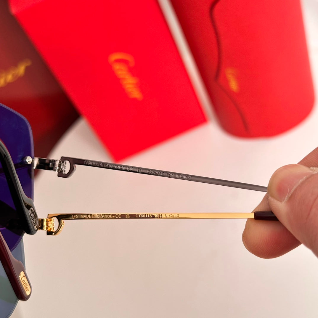 Première Navigator Frame Sunglasses Ct6011S In Metal