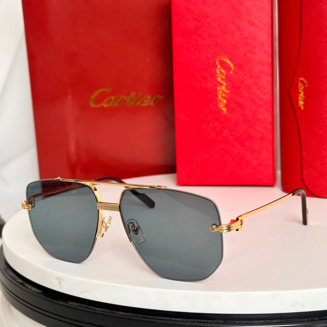 Première Navigator Frame Sunglasses Ct6011S In Metal