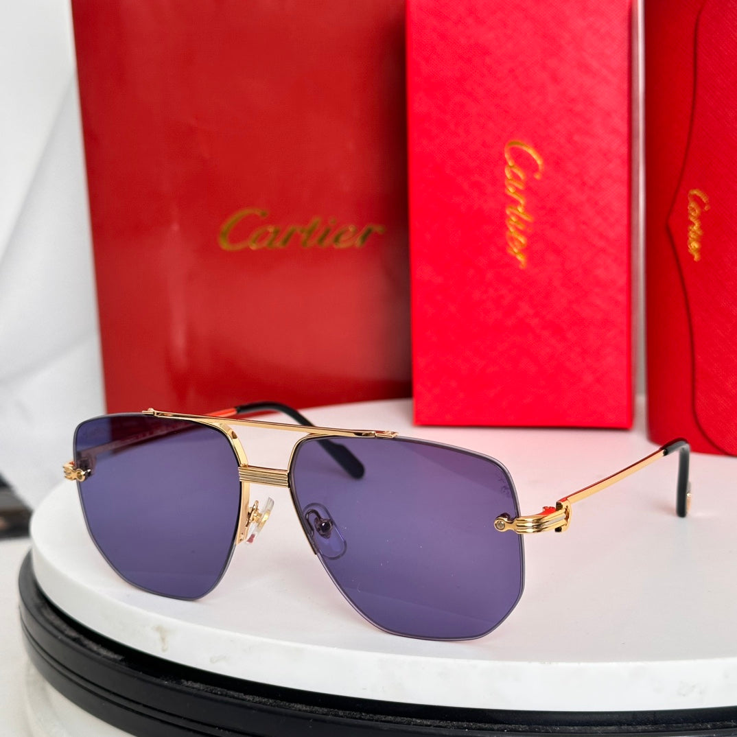 Première Navigator Frame Sunglasses Ct6011S In Metal