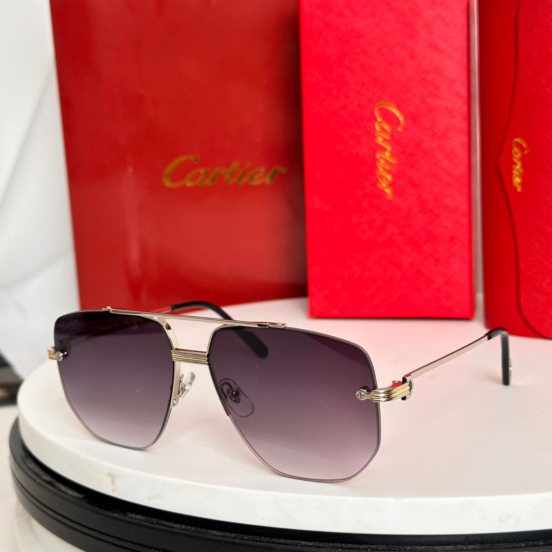 Première Navigator Frame Sunglasses Ct6011S In Metal