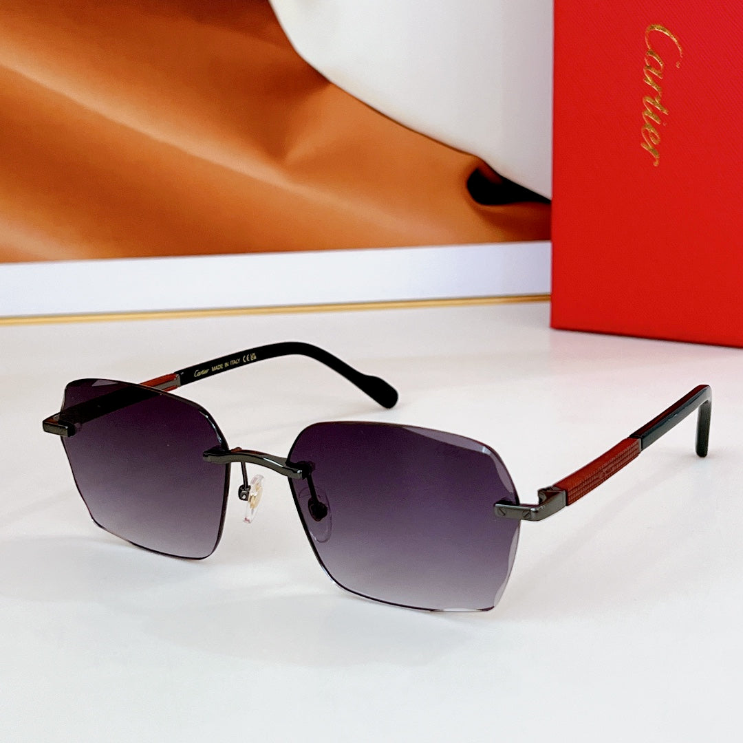 Santos Square Frame Sunglasses Ct0483S In Metal