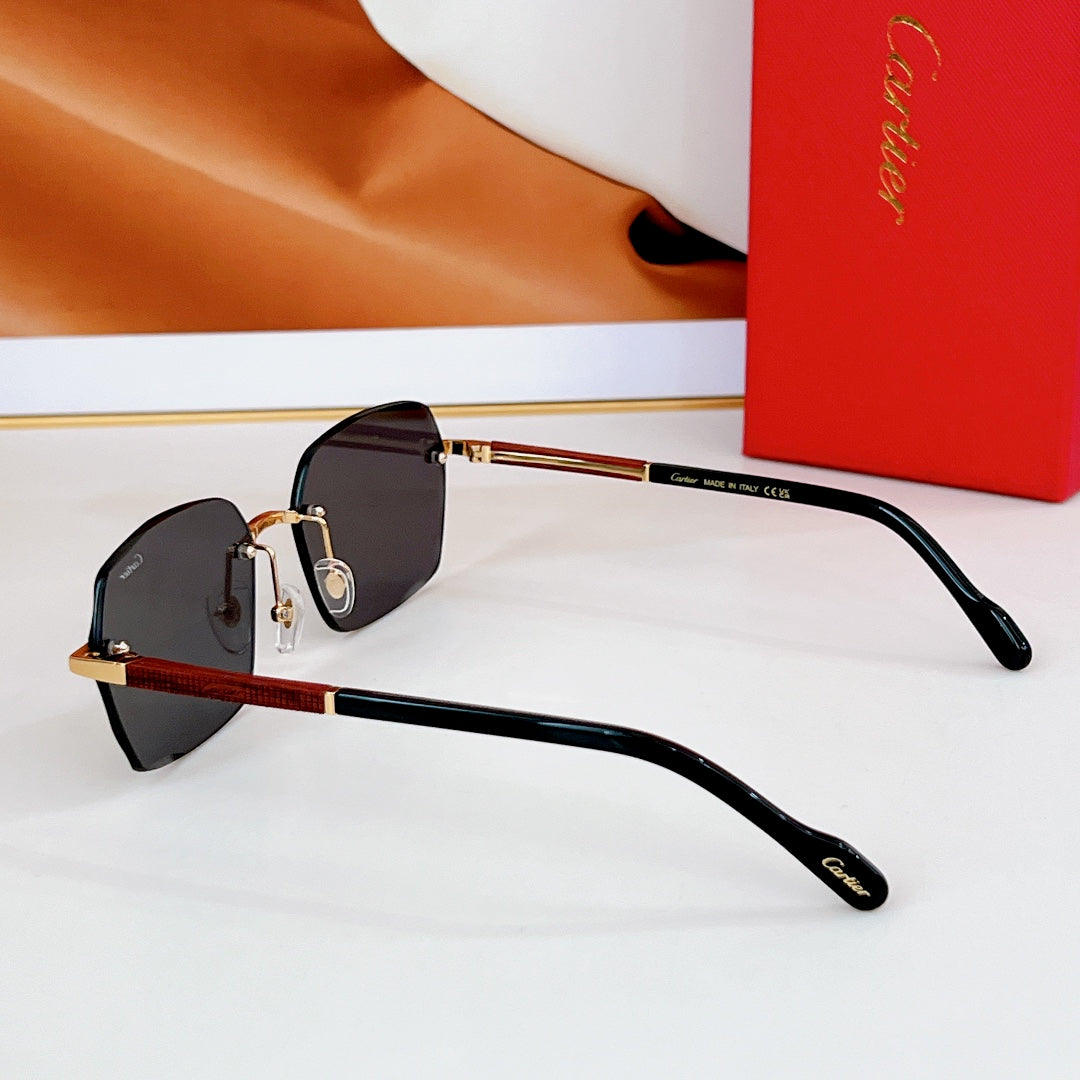 Santos Square Frame Sunglasses Ct0483S In Metal
