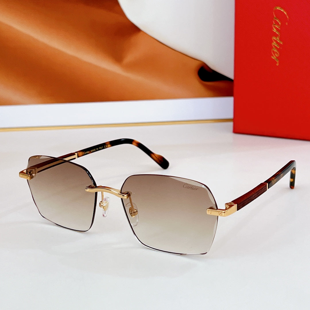 Santos Square Frame Sunglasses Ct0483S In Metal