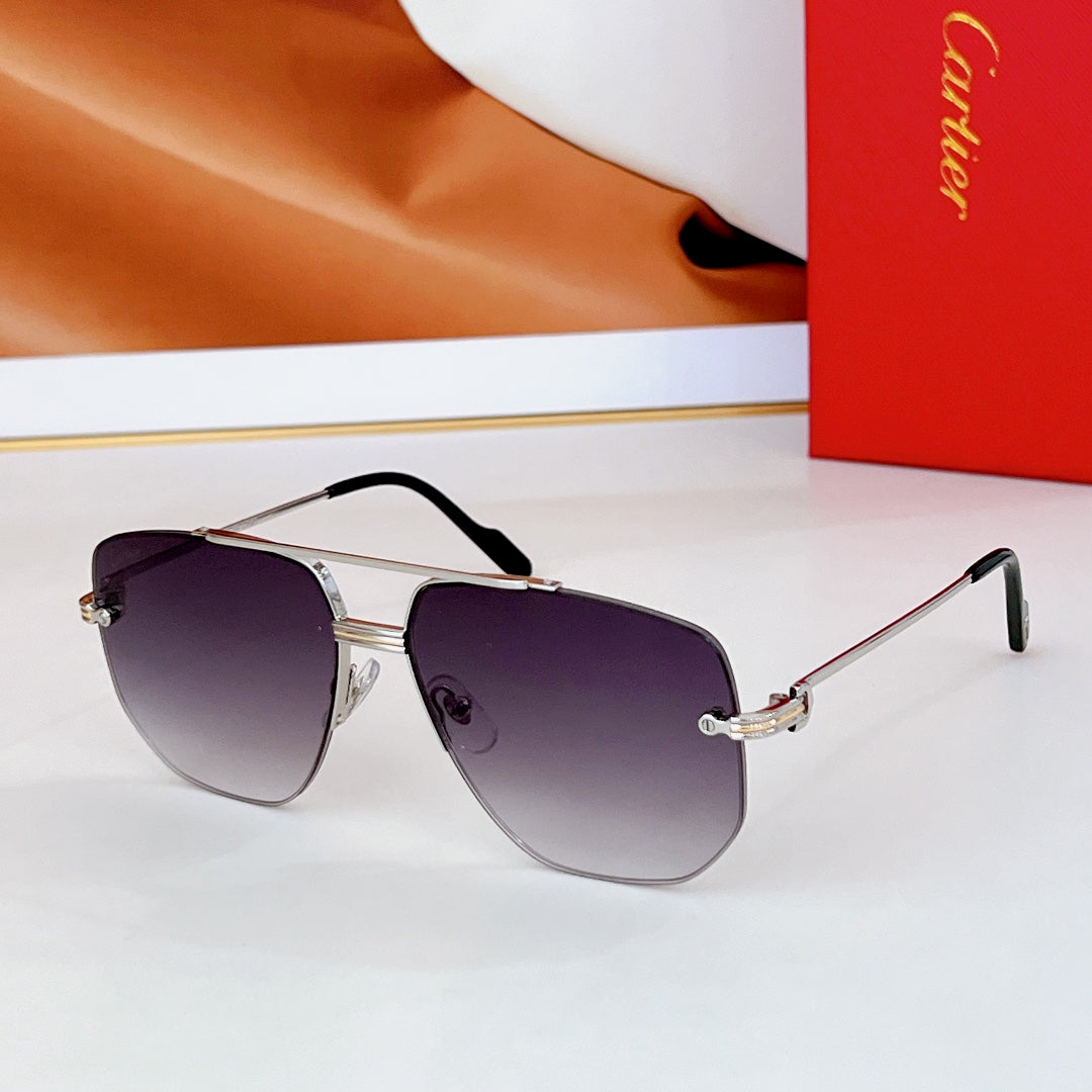 Première Navigator Frame Sunglasses Ct6011S In Metal