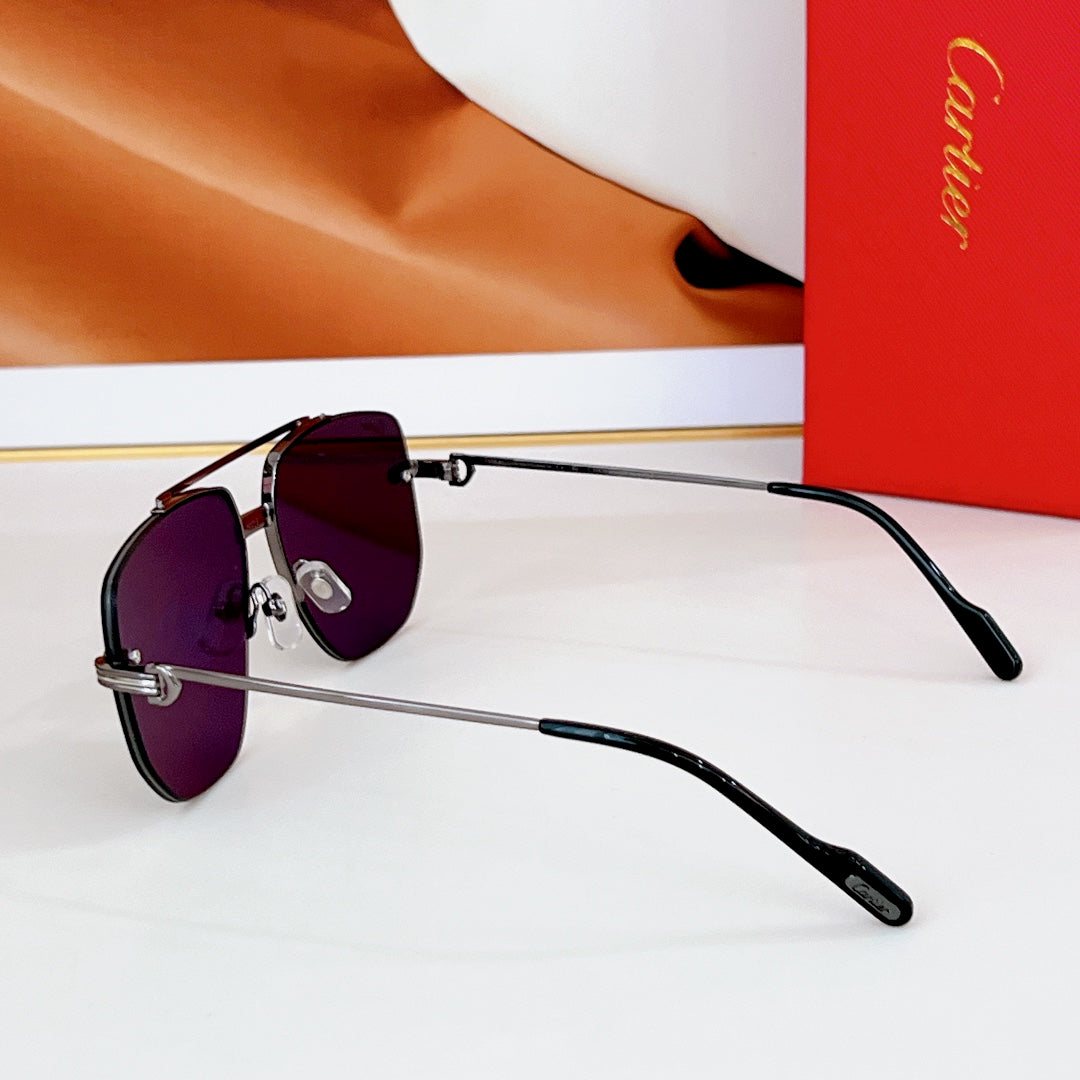 Première Navigator Frame Sunglasses Ct6011S In Metal