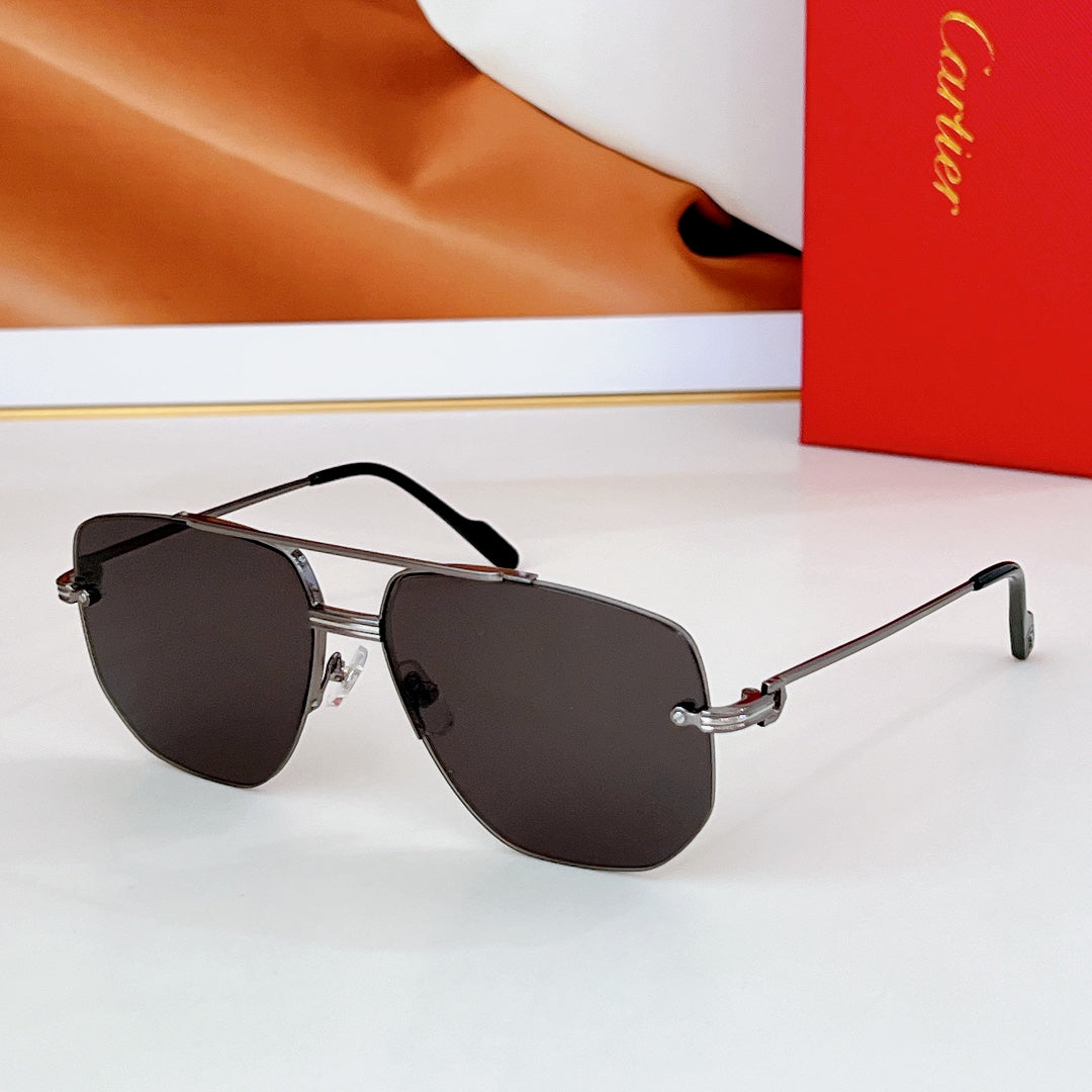 Première Navigator Frame Sunglasses Ct6011S In Metal