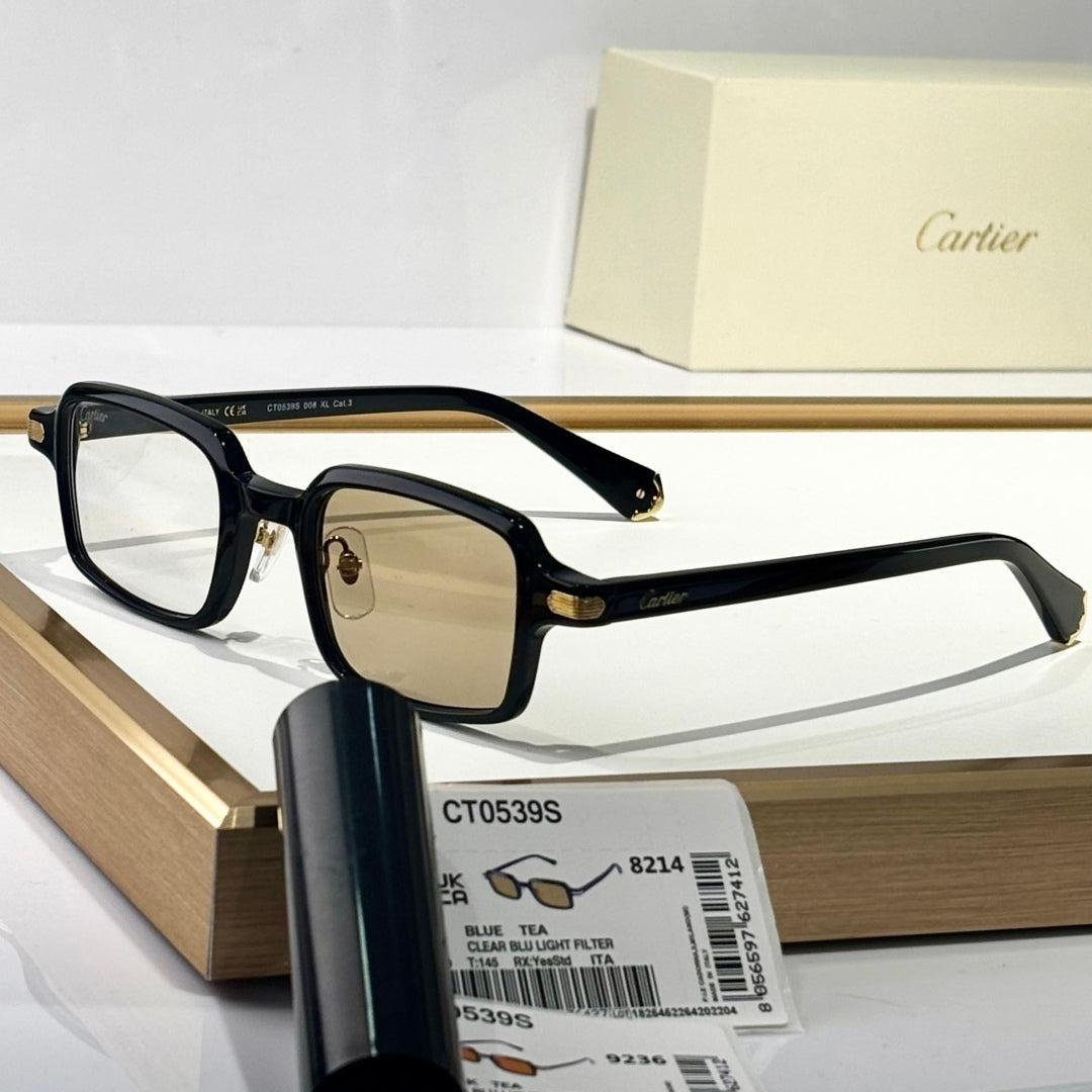 Première Square Frame Sunglasses Ct0539S In Acetate