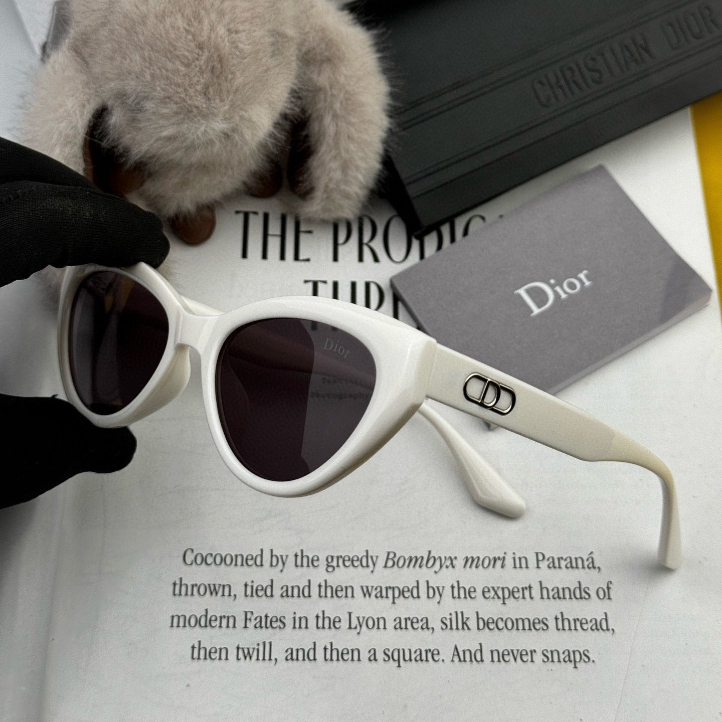 Cat Eye Sunglass D4109 In Acetate