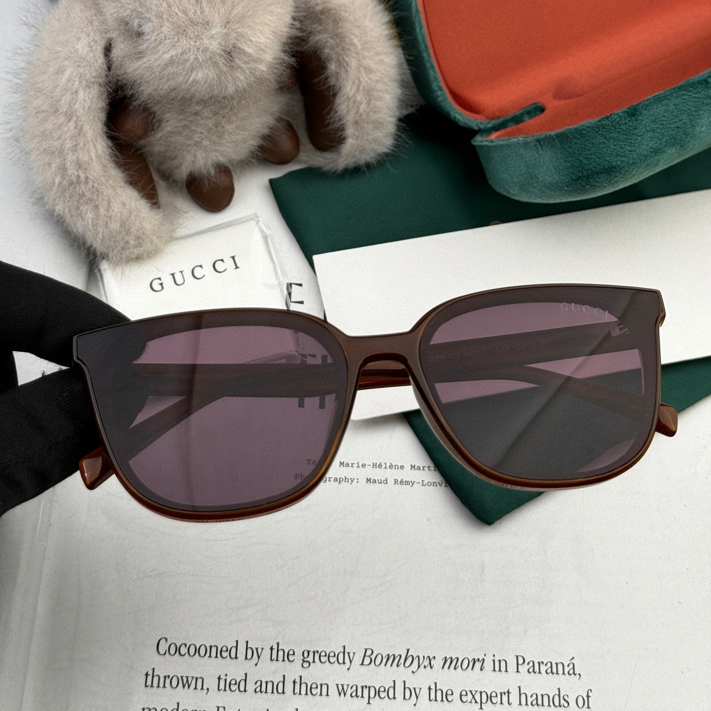 SQUARE FRAME SUNGLASSES G97722 IN ACETATE