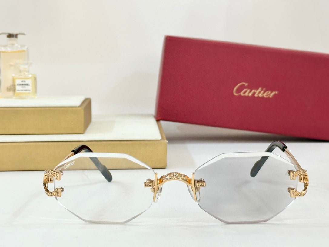 Photochromic Lenses Geometric Frame Sunglasses Ct0581S In Metal