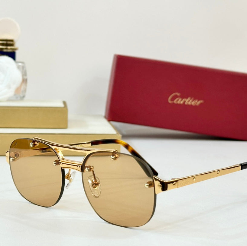 Santos Round Frame Sunglasses Ct00676 In Metal