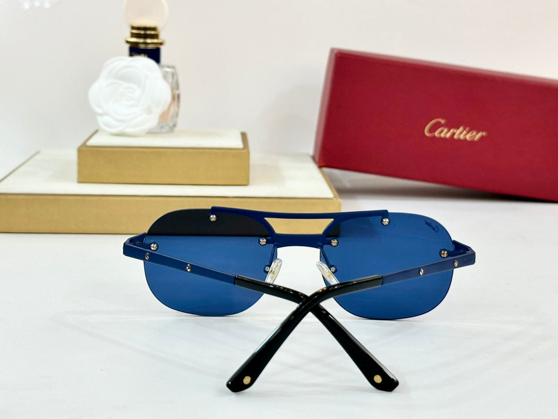 Santos Round Frame Sunglasses Ct00676 In Metal