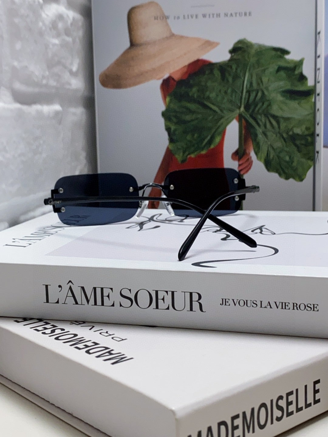 Santos Rimless Rectangular Frame Sunglasses 562068 In Metal