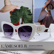 Bobby B1U Sunglass 571589 In White Acetate Grey Smoke Lenses