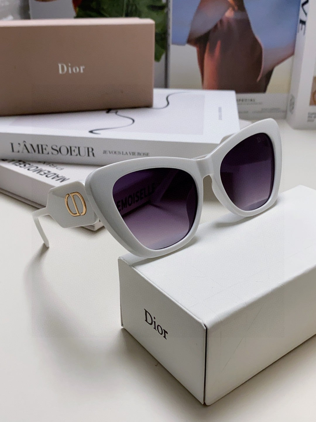 Bobby B1U Sunglass 571589 In White Acetate Grey Smoke Lenses