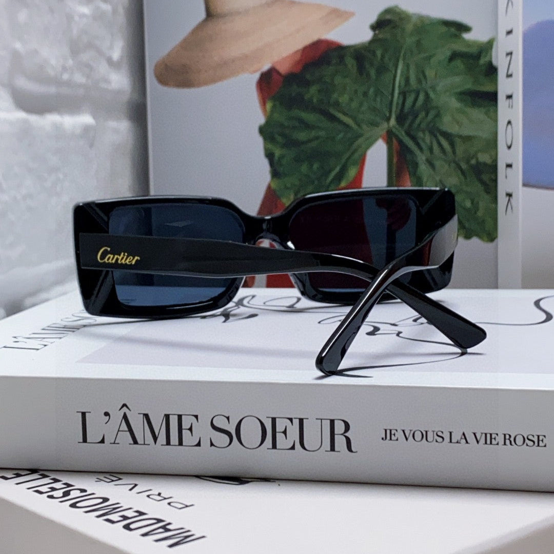 EMBOSSED LOGO RECTANGULAR FRAME SUNGLASSES 575773 IN ACETATE