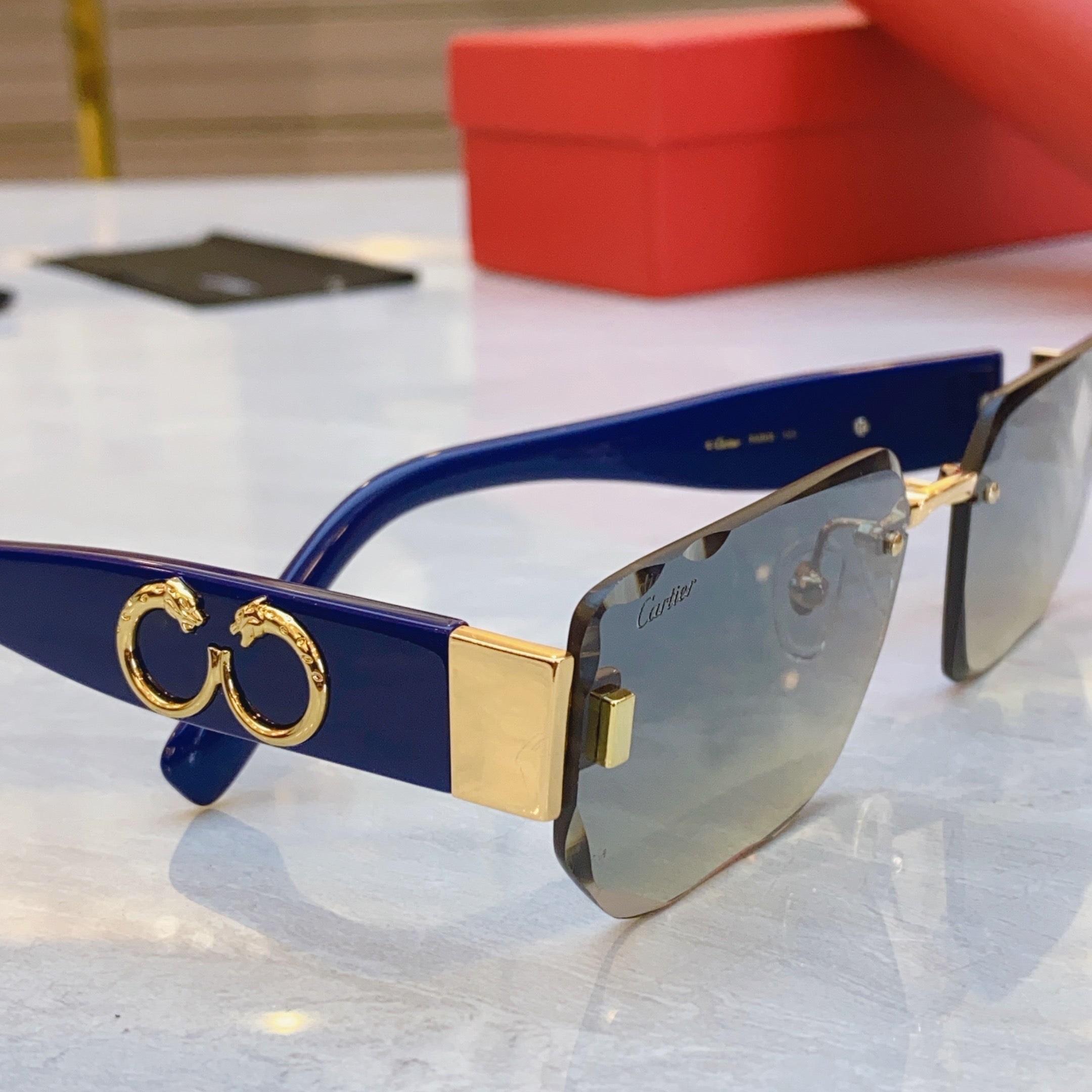 Panthère Geometric Sunglasses Ct0637S In Metal And Acetate