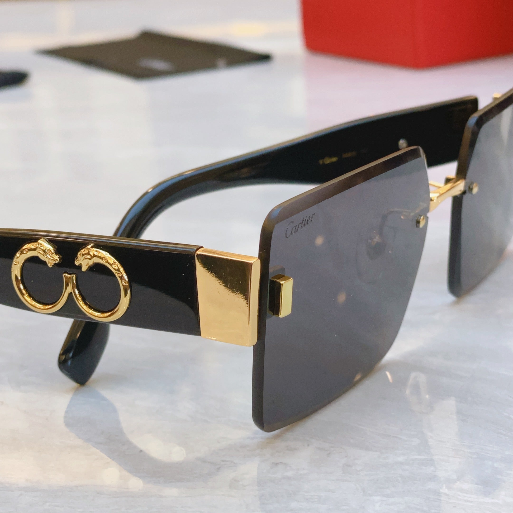 Panthère Geometric Sunglasses Ct00636S In Metal And Acetate