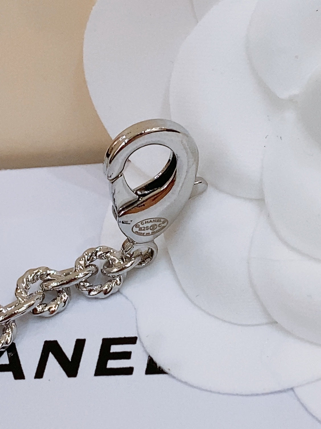 Twisted Chain Belt With Rhinestones And Logo Plate In Silver Tone