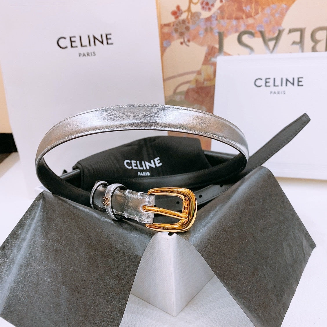 Celine 25S Belt 18Mm With Arc De Triomphe Buckle In Silver 571503