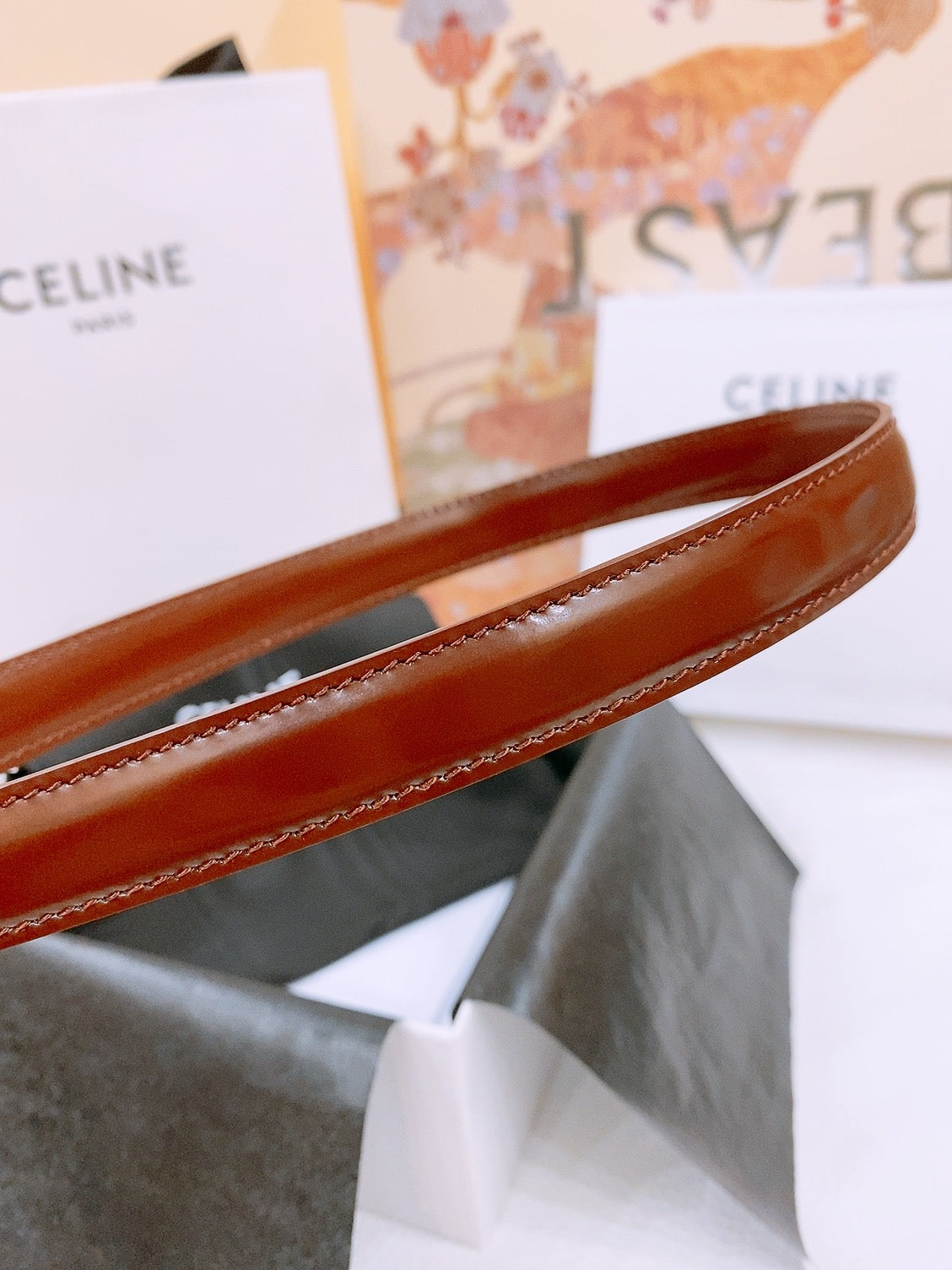 Celine 25S Belt 18Mm With Arc De Triomphe Buckle In Burnt Umber 571506